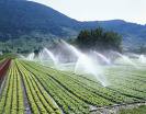 L'eau dans l'agriculture