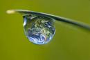 L'eau dans l'agriculture